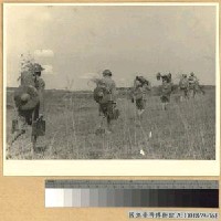 藏品(廣東新豐前線之我軍)的圖片